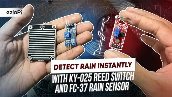 Rain flooding detection system